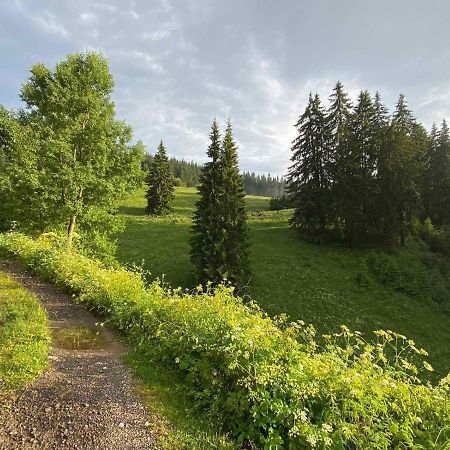 Villa Ahrida Smoljan Esterno foto