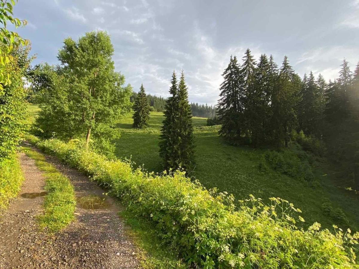 Villa Ahrida Smoljan Esterno foto